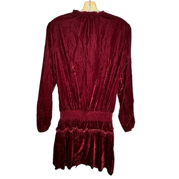 Ella Moss Red Velvet Dress - Picture 5 of 7